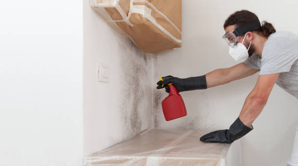 Professional Bathroom Mold Removal technician working in Lillington, NC